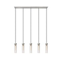 Z Lite Beau 5 Light Linear Chandelier 