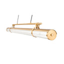 Z Lite Benoit 50W 1 Light 5" High Linear Chandelier 17