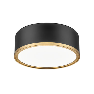 Z Lite Bradley 24W 1 Light 4" High Flush Mount 2