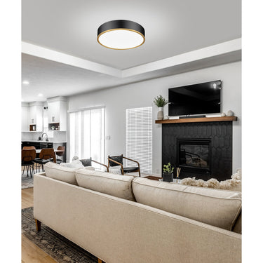 Z Lite Bradley 50W 1 Light 4" High Flush Mount 6