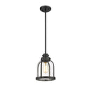 Z-Lite Burren 8.75" 1 Light Pendant 22