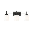 Z-Lite Cadoc 3 Light Vanity Wall Sconce 17
