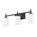 Z-Lite Cadoc 3 Light Vanity Wall Sconce 19