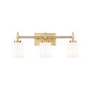 Z-Lite Cadoc 3 Light Vanity Wall Sconce 24