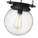 Z-Lite Calhoun 9" 1 Light Pendant 25