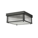 Z-Lite Carnaby 2 Light Flush Mount - 7504FS13 4