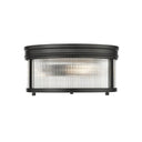 Z-Lite Carnaby 2 Light Flush Mount 