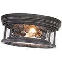 Z-Lite Clarion 2 Light Flush Mount 11