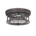 Z-Lite Clarion 2 Light Flush Mount 12