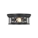 Z-Lite Clarion 2 Light Flush Mount 16