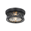 Z-Lite Clarion 2 Light Flush Mount 17