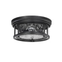Z-Lite Clarion 2 Light Flush Mount 19