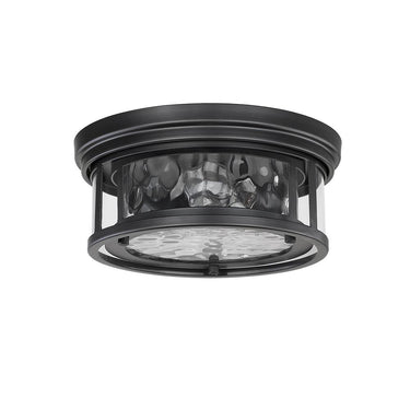 Z-Lite Clarion 2 Light Flush Mount 19