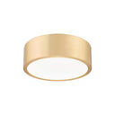 Z-Lite Coronado 24W 1 Light Flush Mount 24