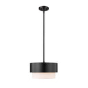 Z-Lite Counterpoint 12" 1 Light Pendant 1