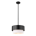 Z-Lite Counterpoint 12" 1 Light Pendant 