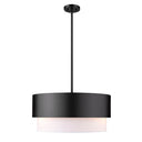 Z-Lite Counterpoint 18" 3 Light Pendant 1
