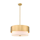 Z-Lite Counterpoint 18" 3 Light Pendant 8