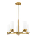 Z-Lite Danica 19.5" 5 Light Chandelier 12