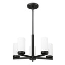 Z-Lite Danica 19.5" 5 Light Chandelier 4