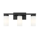 Z-Lite Danica 3 Light Vanity Wall Sconce 17