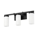 Z-Lite Danica 3 Light Vanity Wall Sconce 19