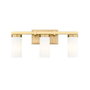 Z-Lite Danica 3 Light Vanity Wall Sconce 24