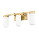 Z-Lite Danica 3 Light Vanity Wall Sconce 26