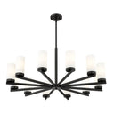 Z-Lite Danica 39" 12 Light Chandelier 2