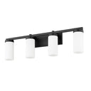 Z-Lite Danica 4 Light Vanity Wall Sconce 19