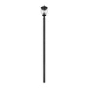Z-Lite Davina 119.25" High 4 Light Outdoor Post Mounted Fixture image 4