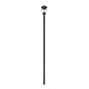 Z-Lite Davina 143.25" High 4 Light Outdoor Post Mounted Fixture image 1