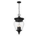 Z-Lite Davina 4 Light Outdoor Chain Mount Ceiling Fixture image 1