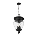 Z-Lite Davina 4 Light Outdoor Chain Mount Ceiling Fixture image 2