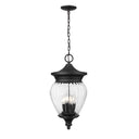 Z-Lite Davina 4 Light Outdoor Chain Mount Ceiling Fixture image