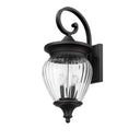 Z-Lite Davina 4 Light Outdoor Wall image 4
