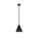 Z-Lite Eaton 12" 1 Light Pendant 12