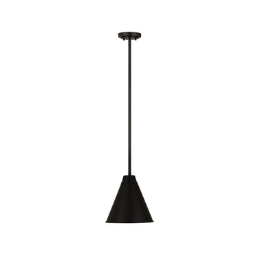 Z-Lite Eaton 12" 1 Light Pendant 9