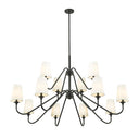 Z-Lite Gianna 12 Light Chandelier image 4
