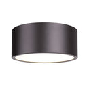Z-Lite Harley 2 Light Flush Mount image 1