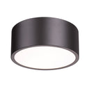 Z-Lite Harley 2 Light Flush Mount image 11