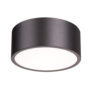 Z-Lite Harley 2 Light Flush Mount image 11