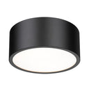 Z-Lite Harley 2 Light Flush Mount image 13