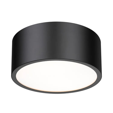 Z-Lite Harley 2 Light Flush Mount image 13
