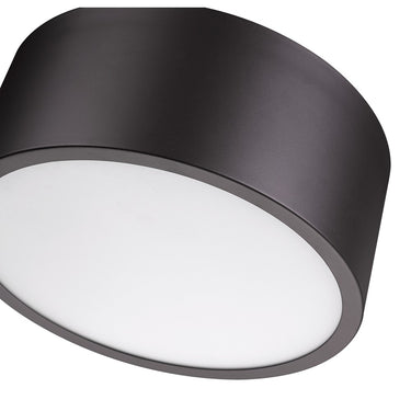 Z-Lite Harley 2 Light Flush Mount image 16