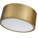 Z-Lite Harley 2 Light Flush Mount image 19