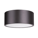 Z-Lite Harley 2 Light Flush Mount image 21