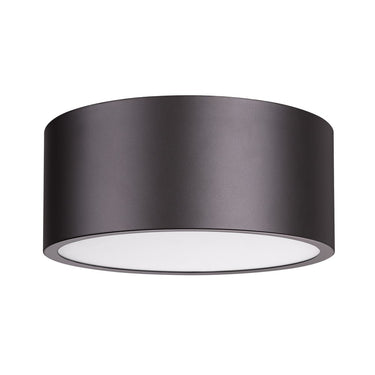 Z-Lite Harley 2 Light Flush Mount image 21
