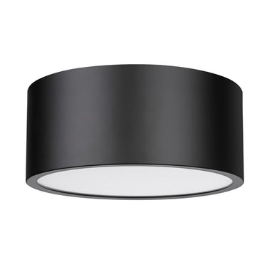 Z-Lite Harley 2 Light Flush Mount image 23