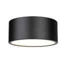 Z-Lite Harley 2 Light Flush Mount image 3